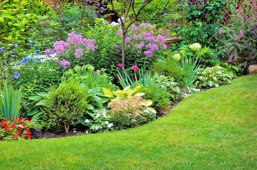 A Guide to Gardening in Waterloo Region