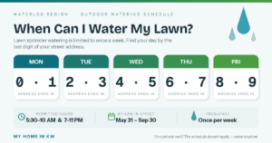 When can I water my lawn in Waterloo Region?